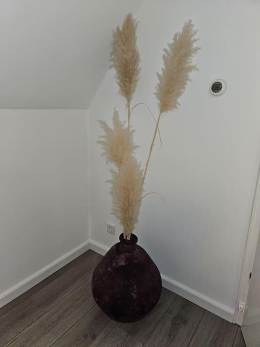 Mooi appartement aan de grens! Enschede 10km