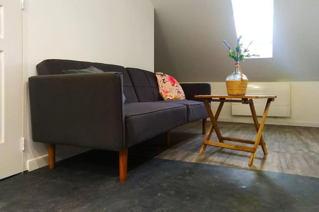 Le Cours Foucault - 3 appartements - 8 couchages