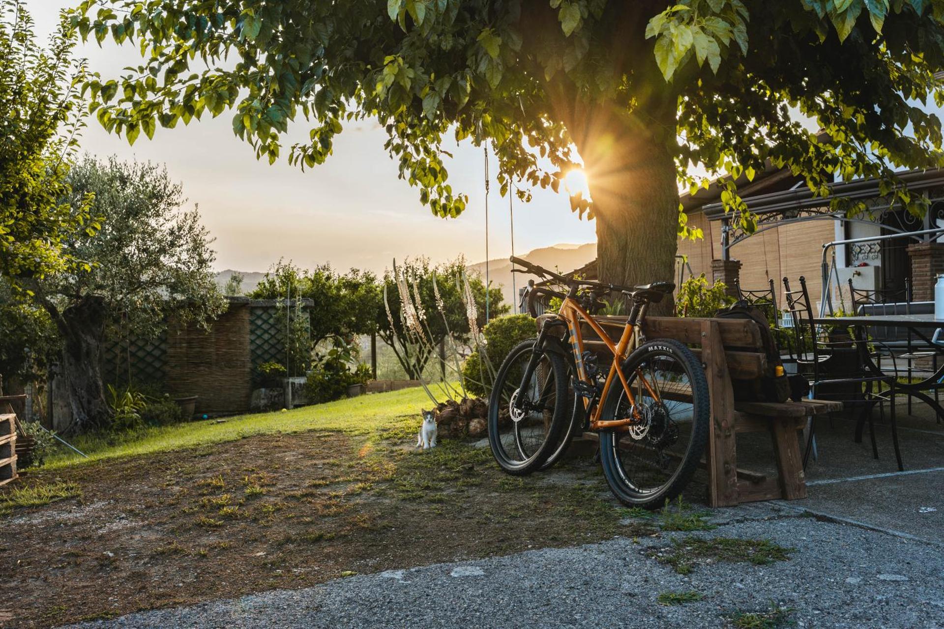 Sentiero Degli Ulivi Mascia