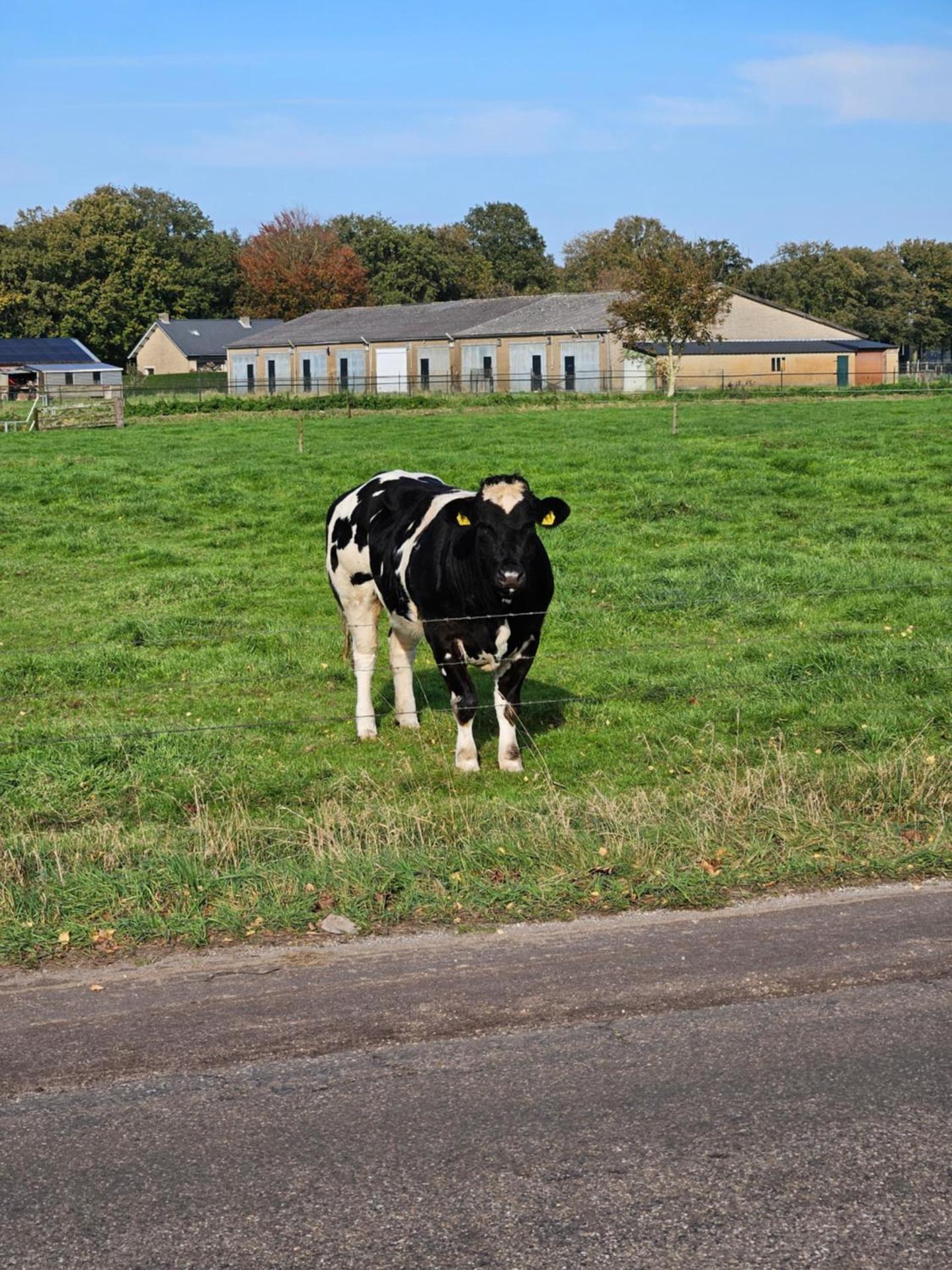 Bed & Breakfast Boekel