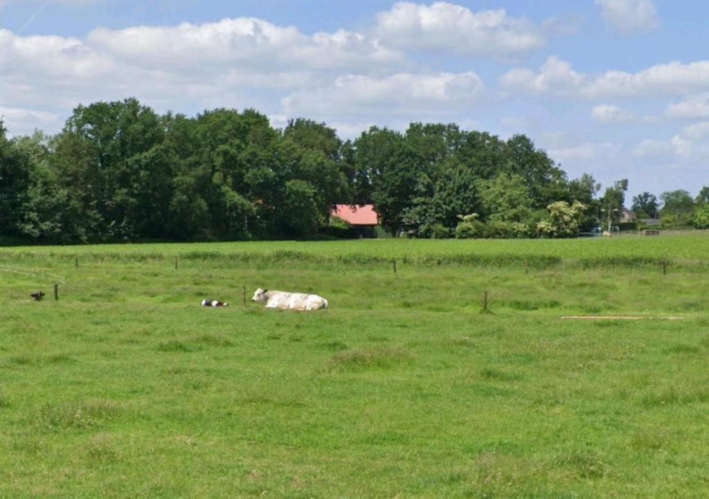 Bed & Breakfast Boekel