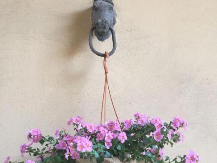 Martini Holiday's house