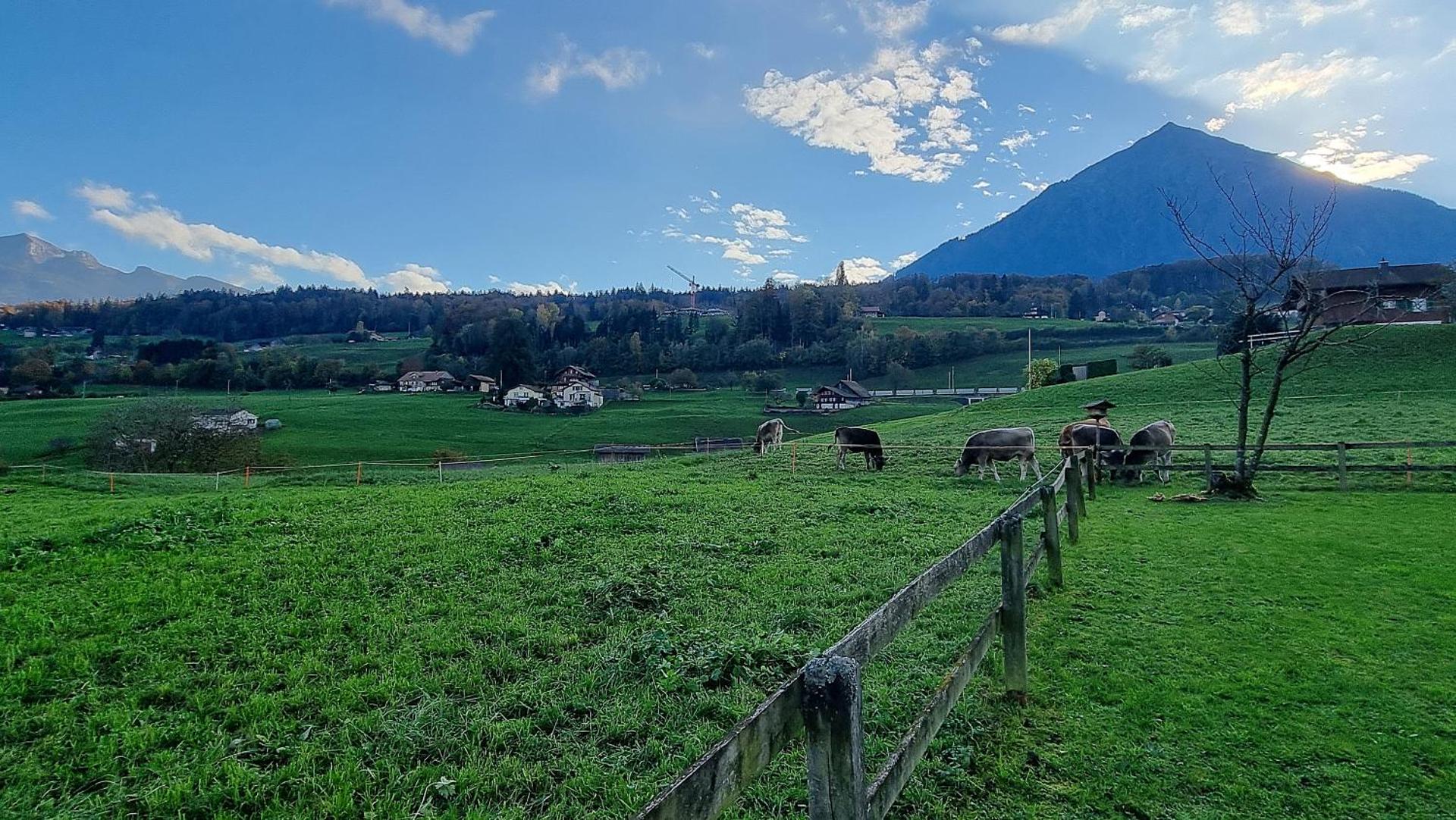 View (from property/room)