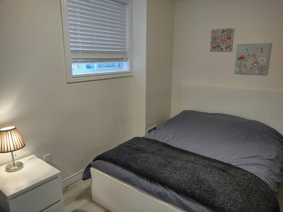 Basement Waterloo Near 24-7 Restraints