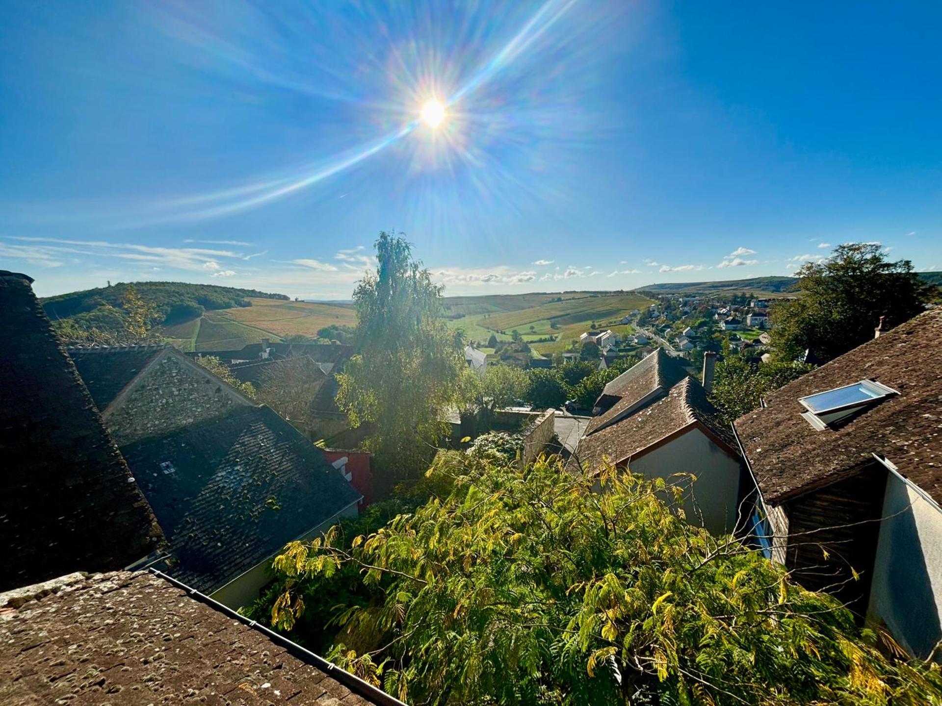 Appartement cosy vue sur le vignoble