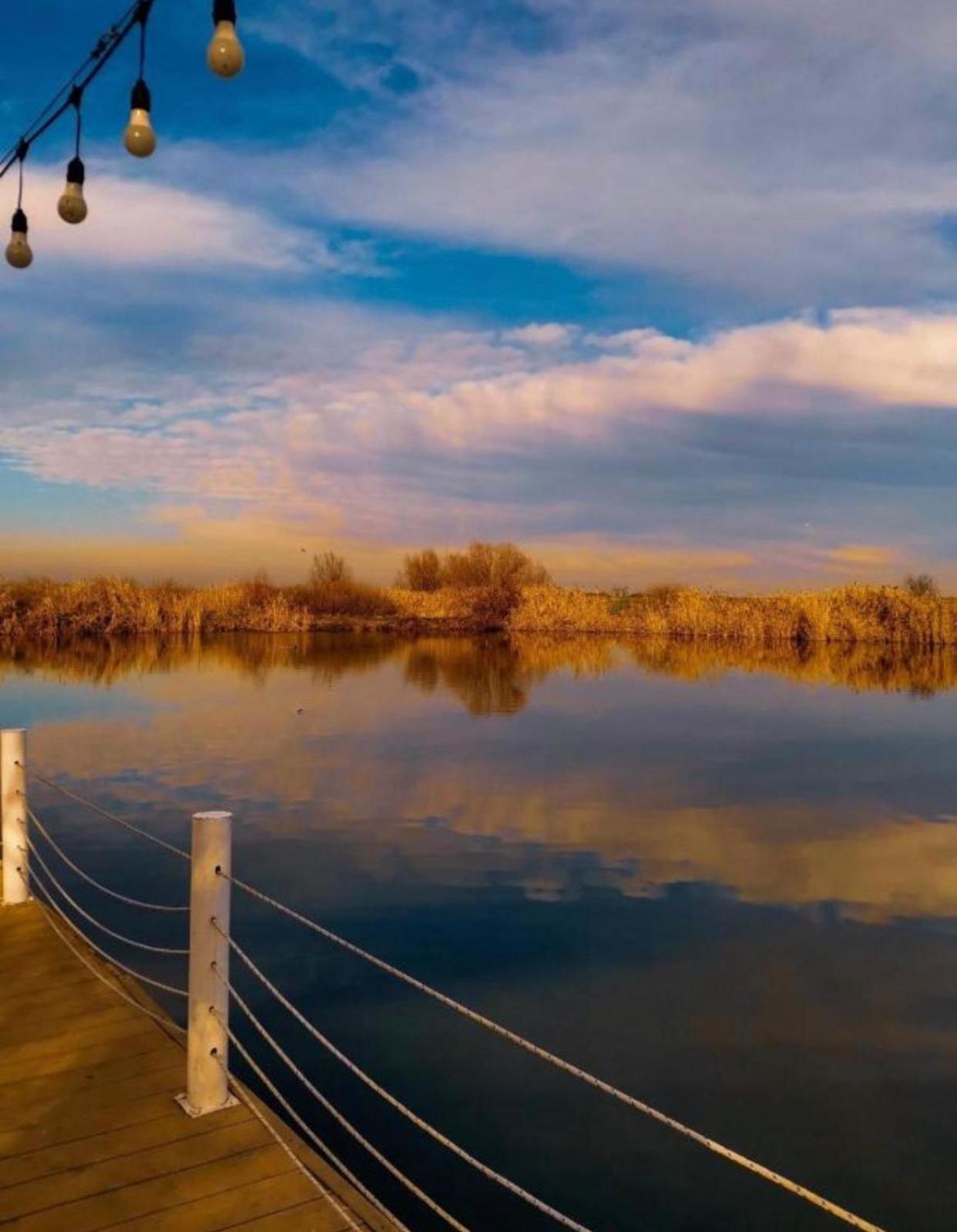 Green Place Cosmopolis