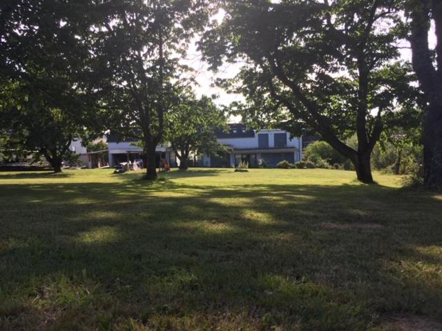 Ruheoase im Kirschblütental