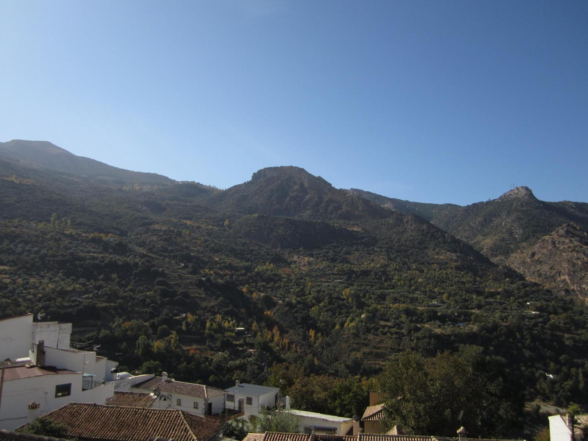 Two-Bedroom Apartment (5 Adults)