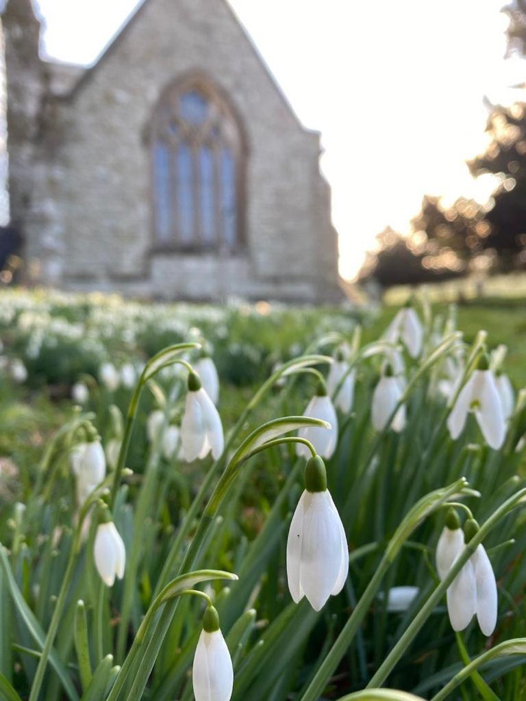 Kings Cottage - Heart of the Deverills - EV Point
