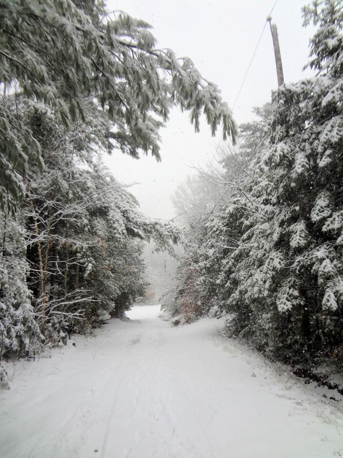 Au Clochard Céleste