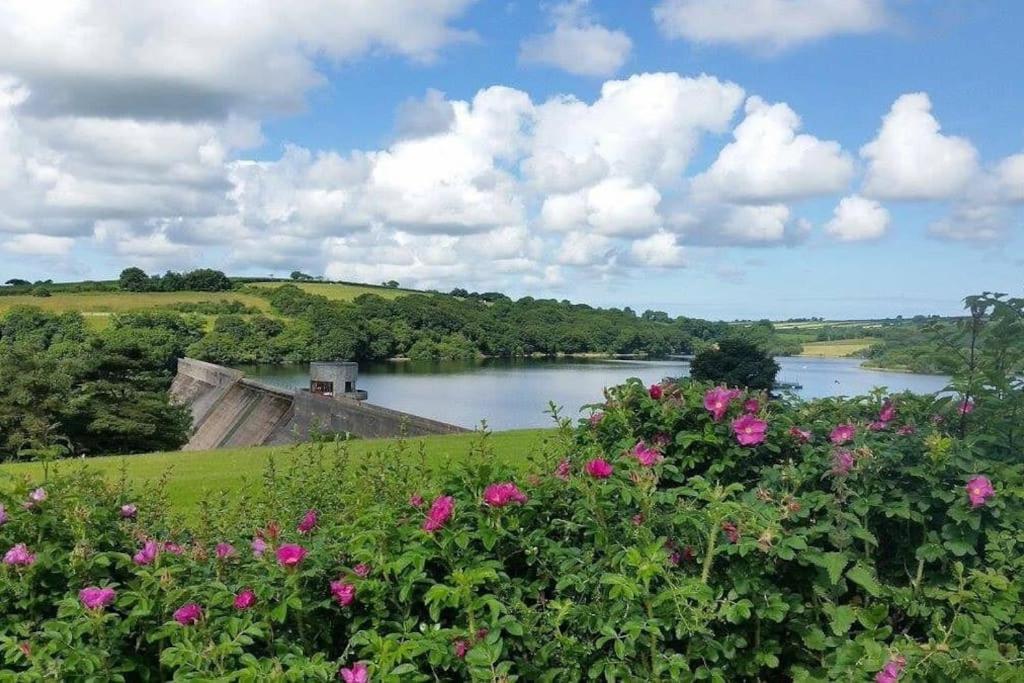 Ship Cottage Tenby Beach 50m