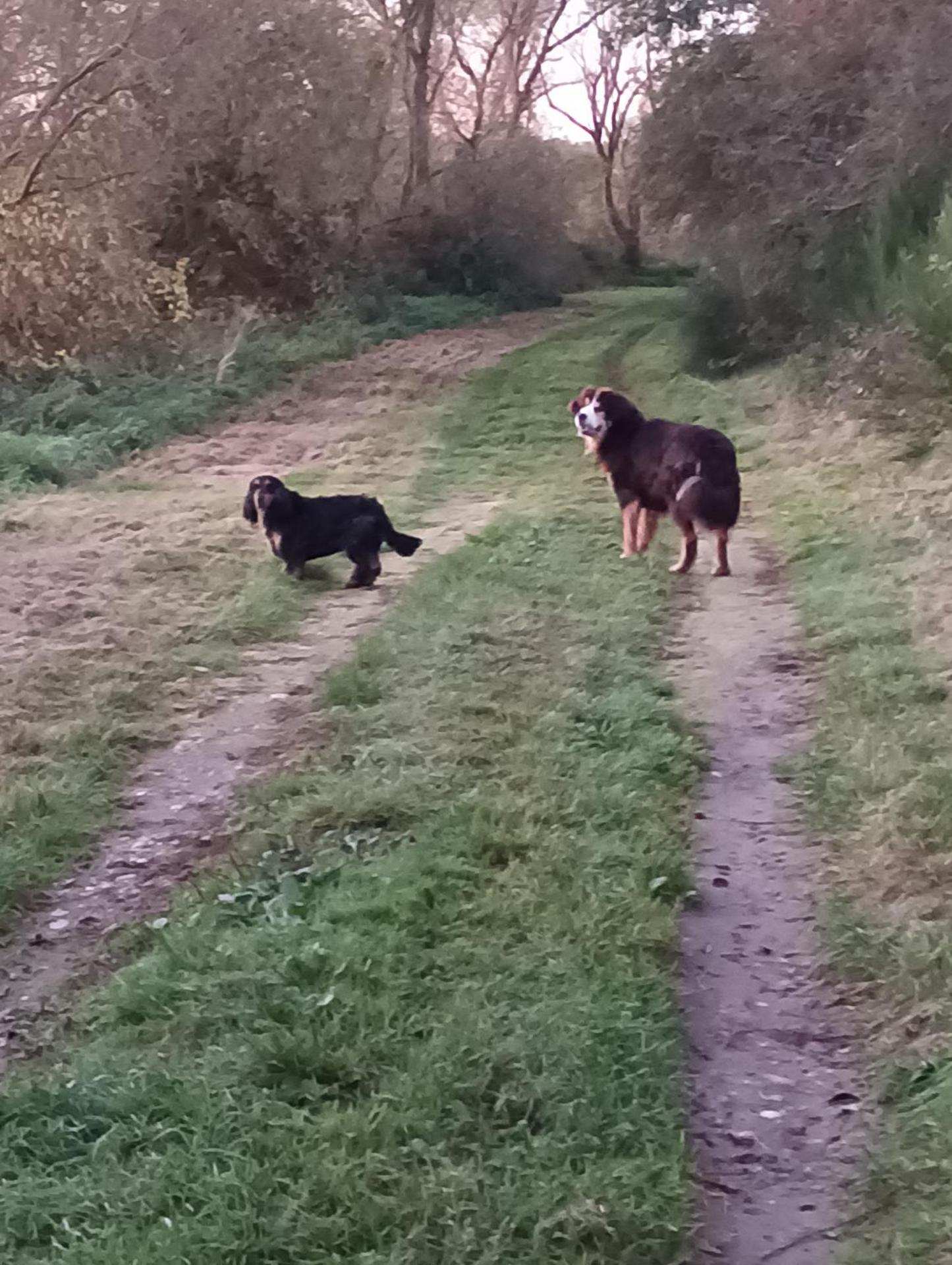 Appartement cosy à Chamagne