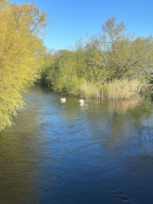 Stunning new Duplex apartment - Christchurch