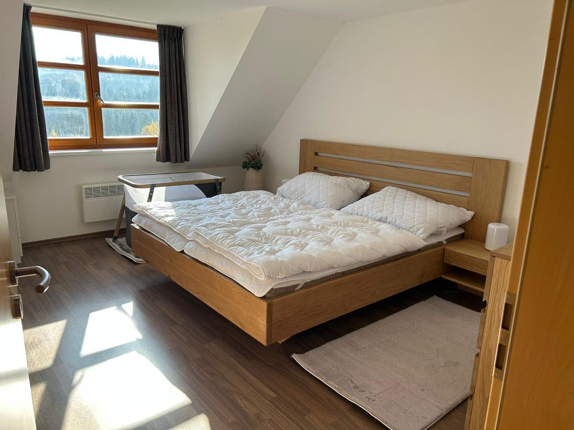 Horský apartmán U Lesa Říčky