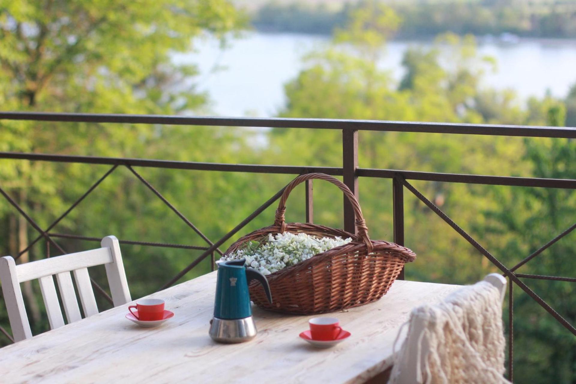 Repülőhal Apartmanház