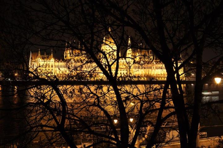 Vintage Panoramic Apartment