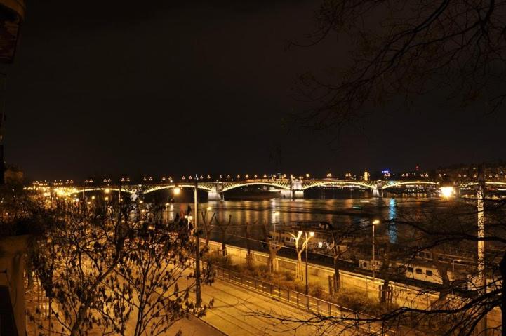 Vintage Panoramic Apartment