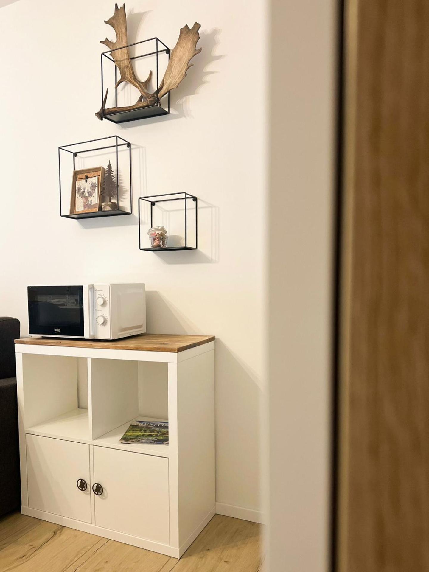 Andalo Mountain L'Abete Dolomites