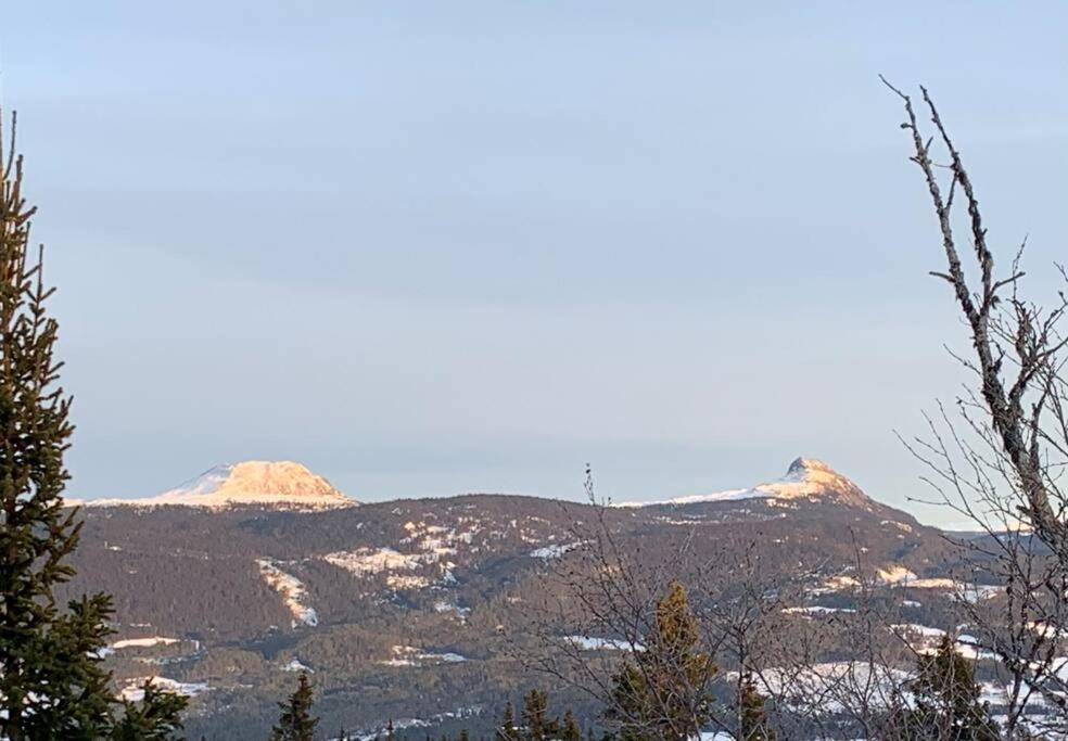 Leilighet i enebolig