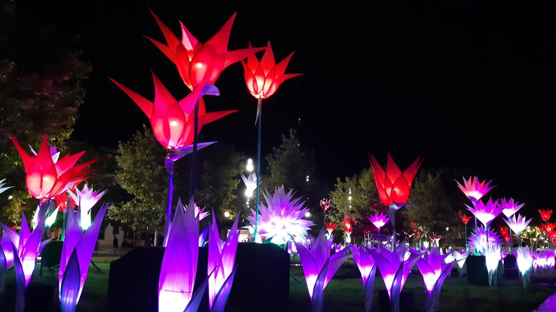 "Air d'Antan"-Meublé de Tourisme 3 étoiles -Résidence "Les Logis de Béziers"-Garage optionnel-Cœur de ville-Plages à 16km !