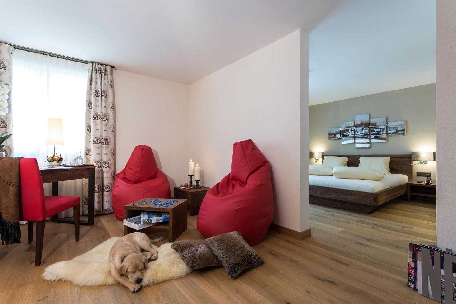 Photo of the whole room