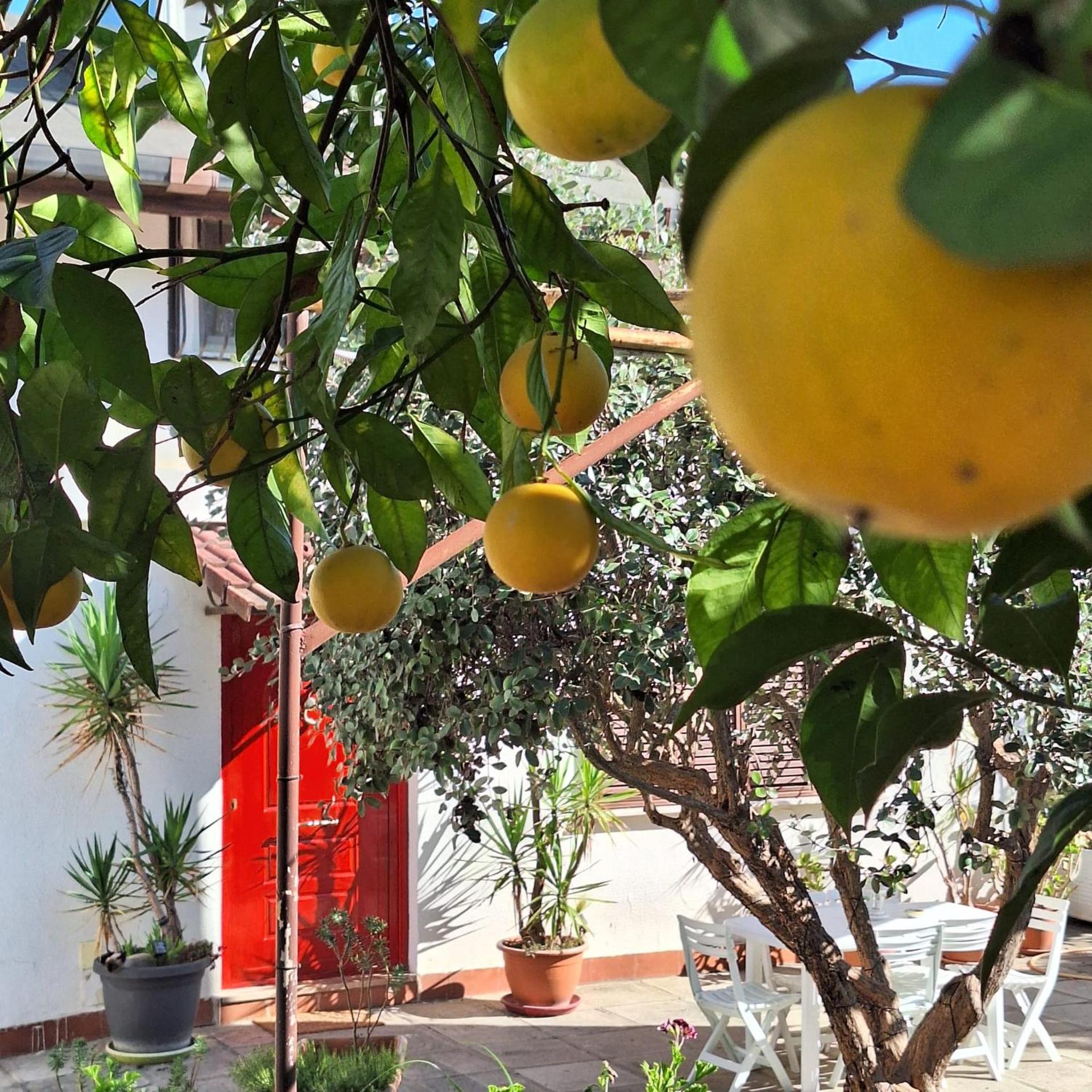 Giallo Limone B&B