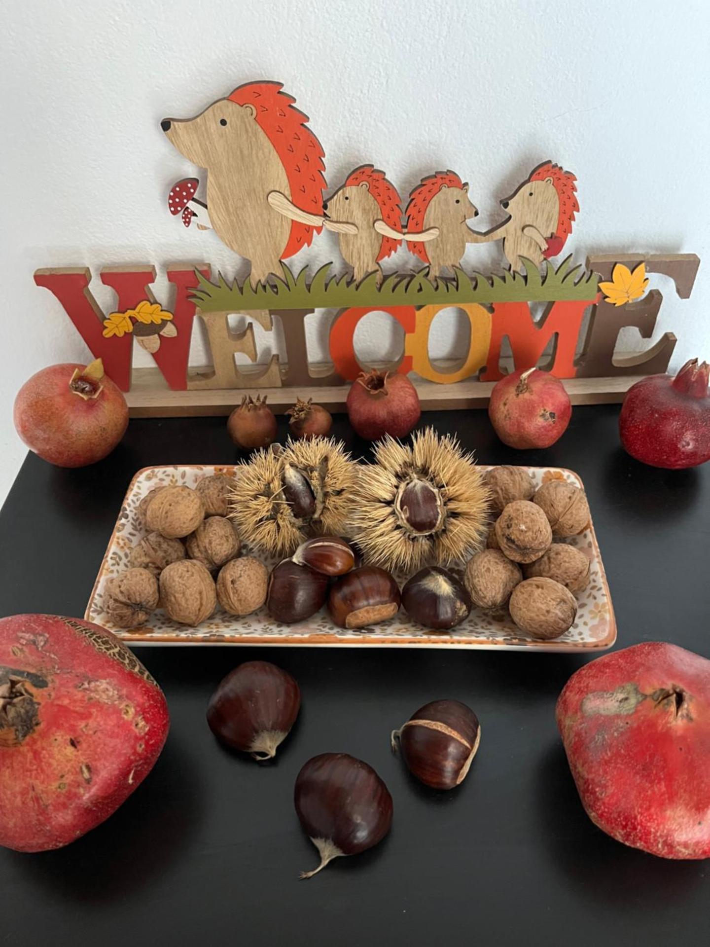 Σπιτάκι στον κήπο