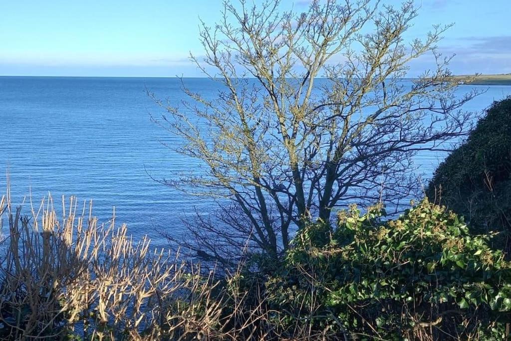 Coast Road Retreat-a stunning 3 bed home in Larne