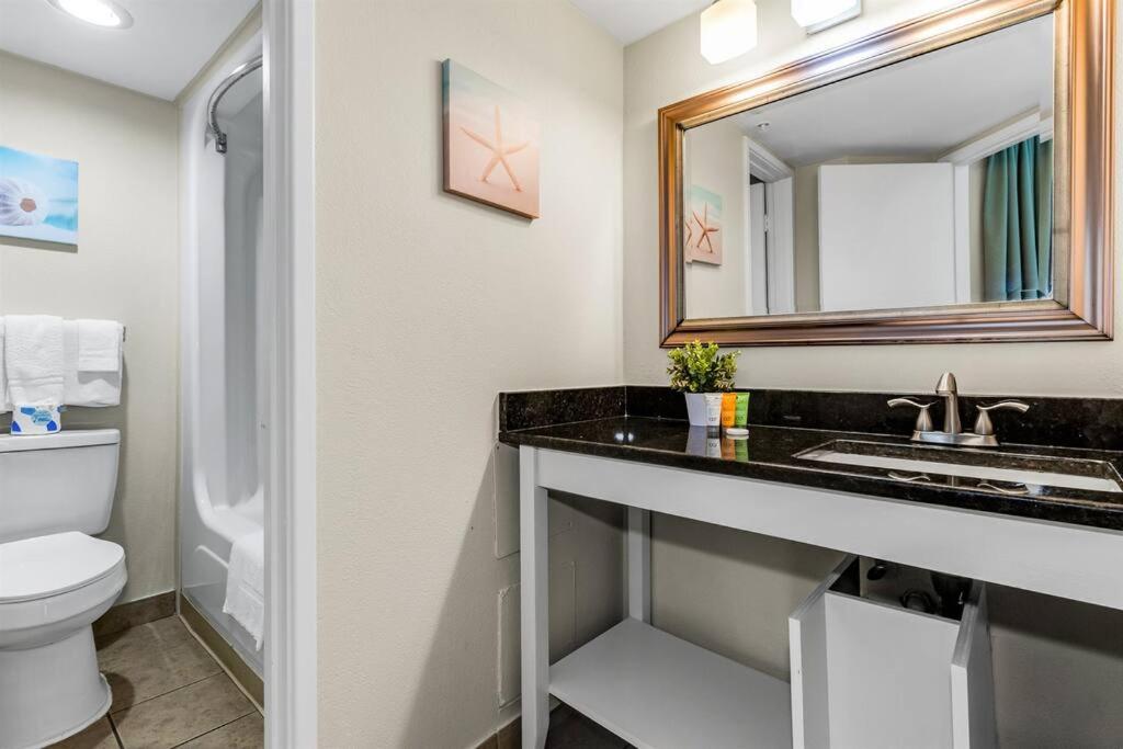 WINTER RATES! Supreme Oceanfront Studio, Dogs OK! 1126