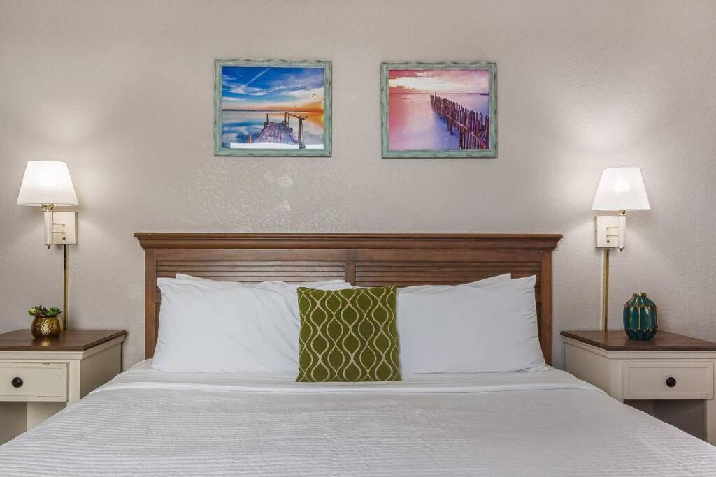 WINTER RATES! Wake Up to the Waves! Oceanview, Dogs Ok! 1638