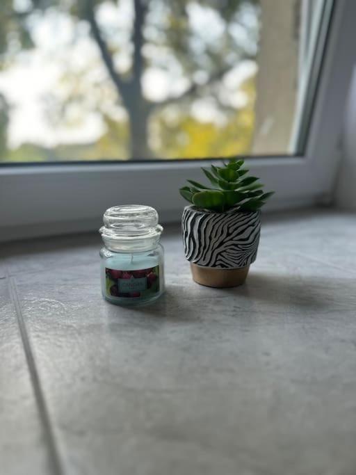 Ferien- Monteurwohnung in Förderstedt, Staßfurt