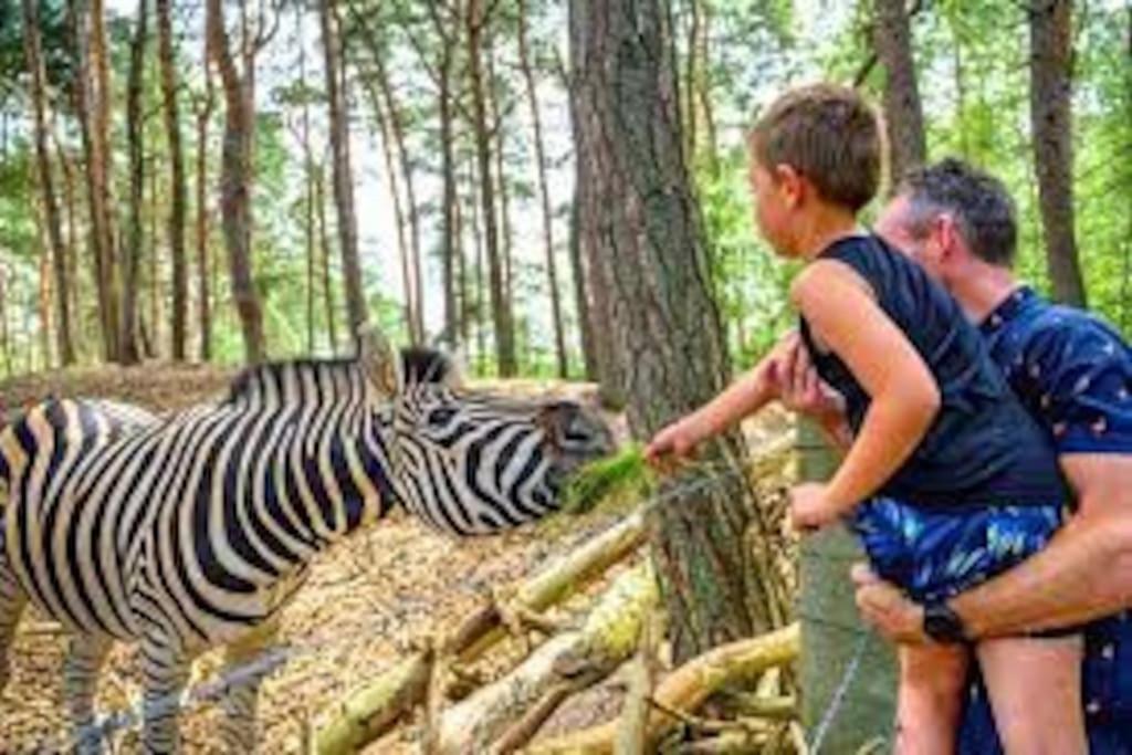 Luxe groot chalet voor 6 personen op de Veluwe!