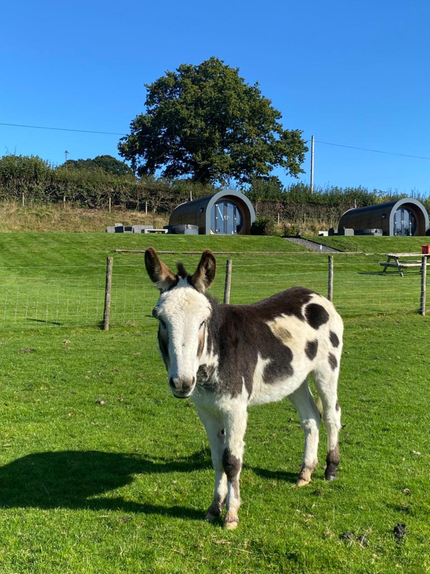Great House Farm Luxury Pods and Self Catering