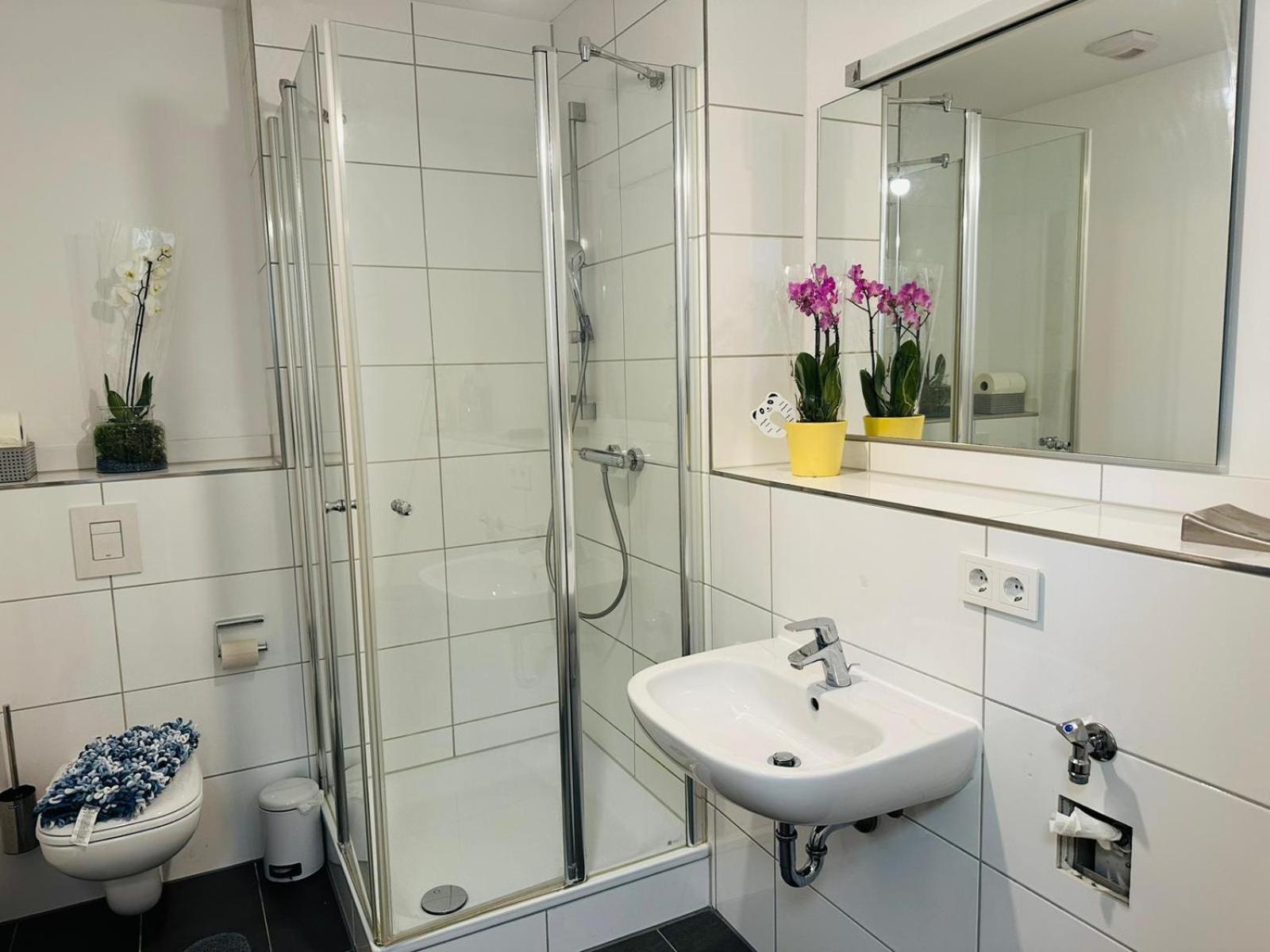 Cocoon 77 Apartments