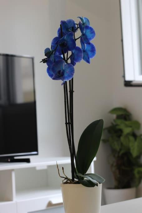 Urban-chic apartment in the heart of Athens