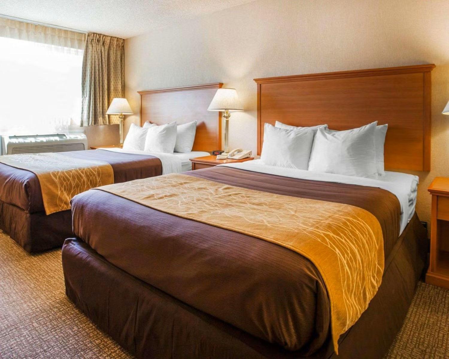 Efficiency Queen Suite with Two Queen Beds and Sofa bed - Non Smoking