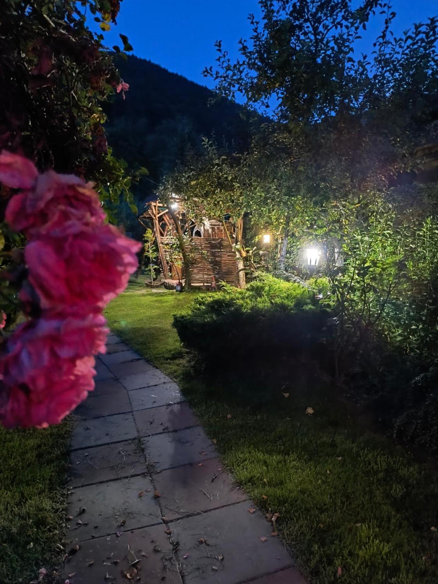 Casa de vacanta Vidrighin