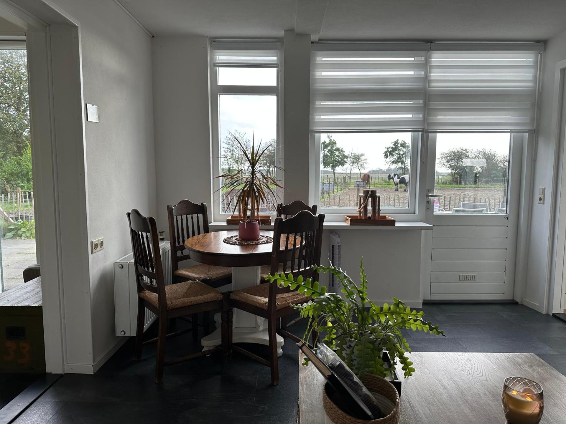 Het Tinkerparadijs, paarden, rust en ruimte.