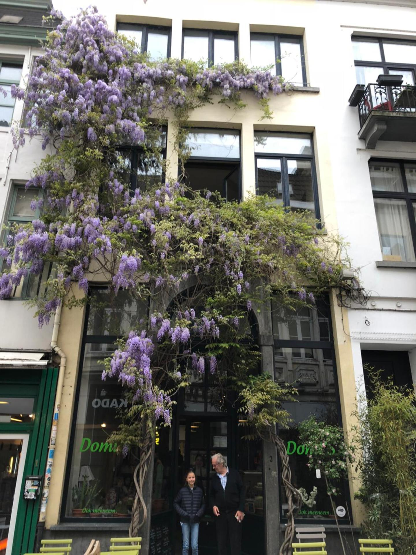 Spacious duplex with terrace in the middle of the center