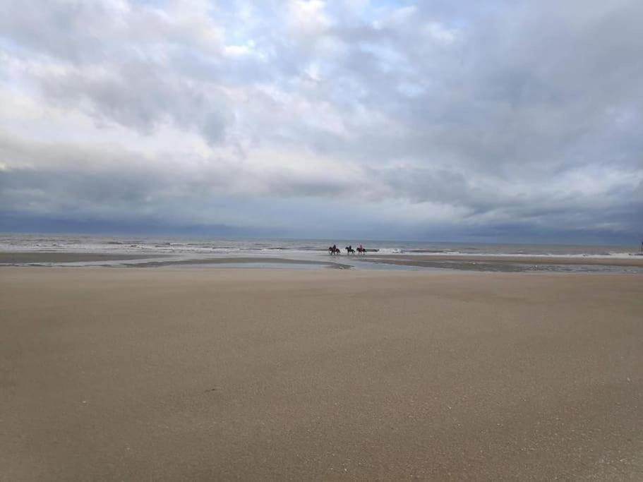 Charming 2BR Private garden, 5MinToBeach Deauville