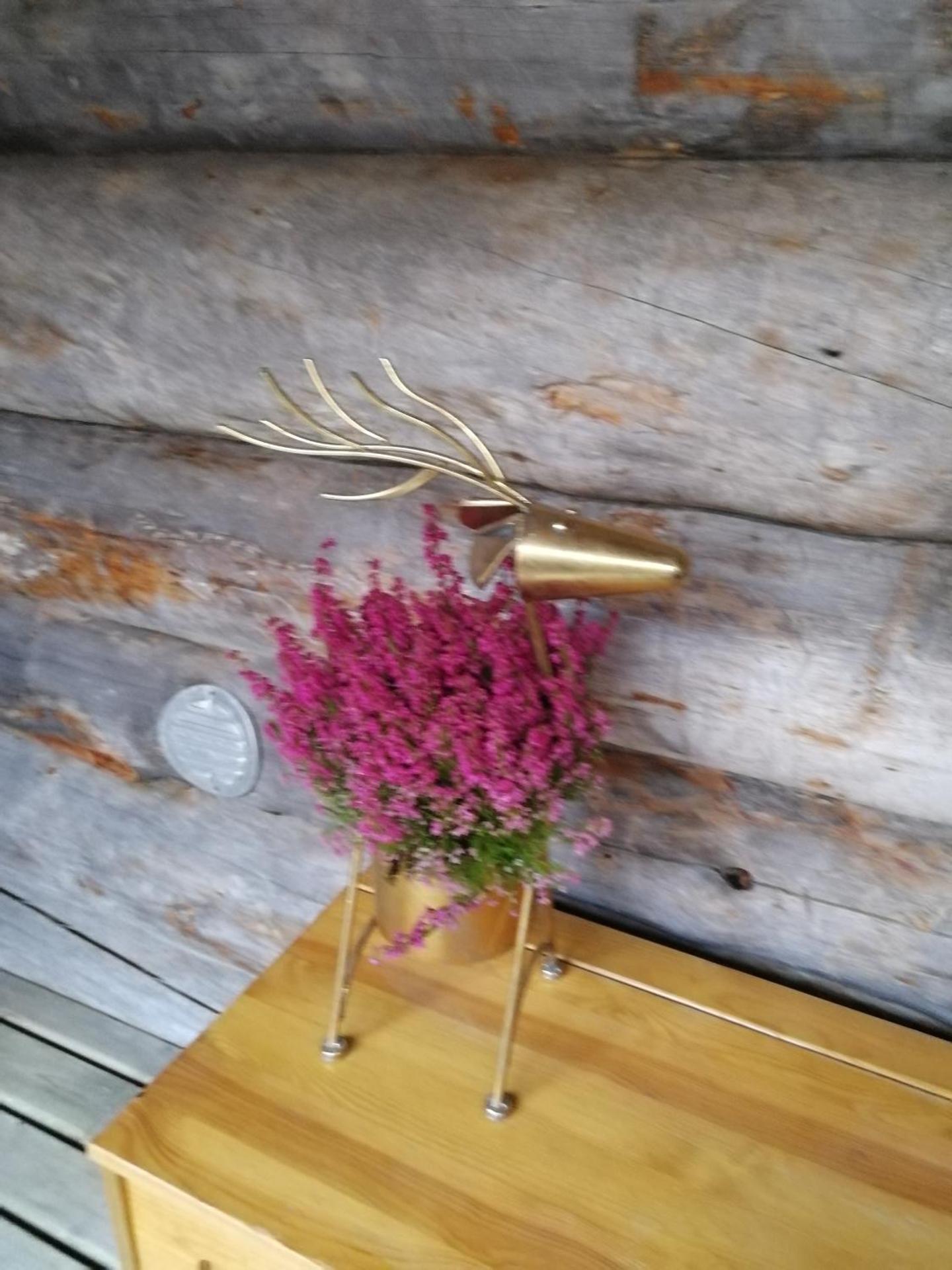 Chill Cave - logwood cottage