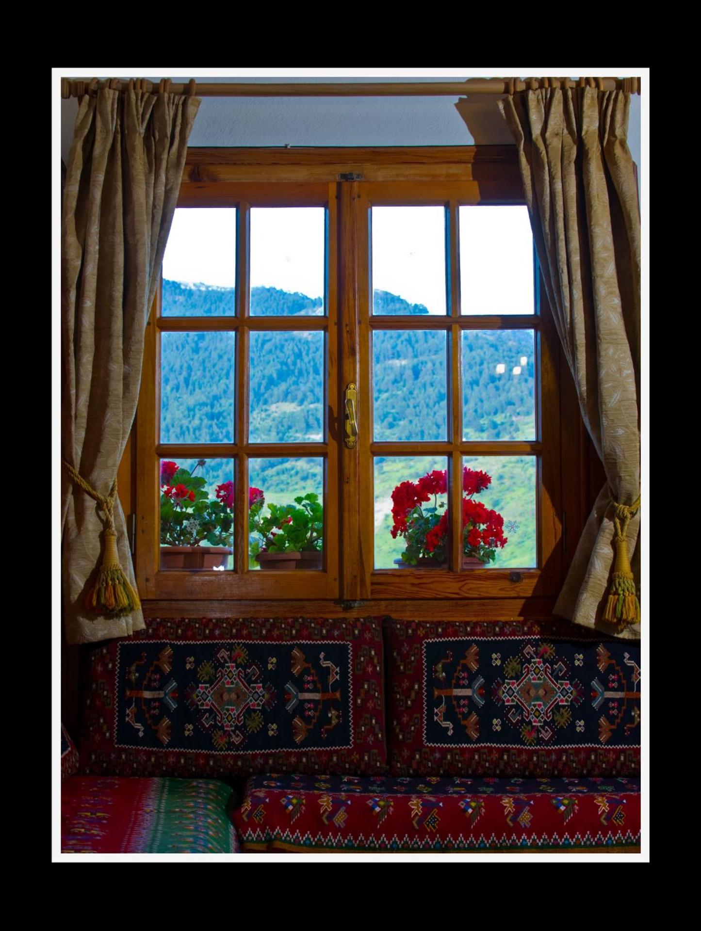 View (from property/room)