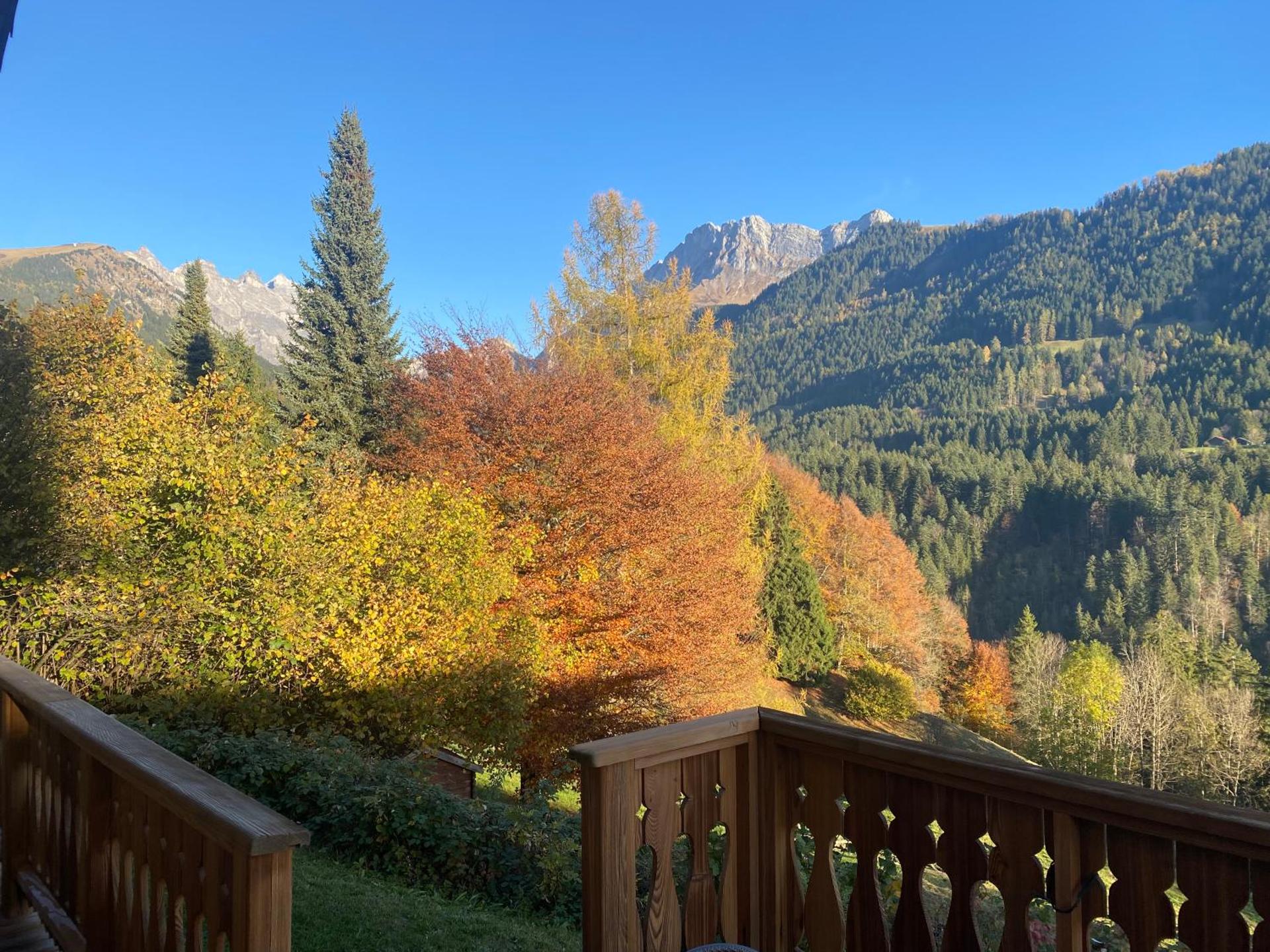 Chalet Villars-Gryon 8pax Cosy