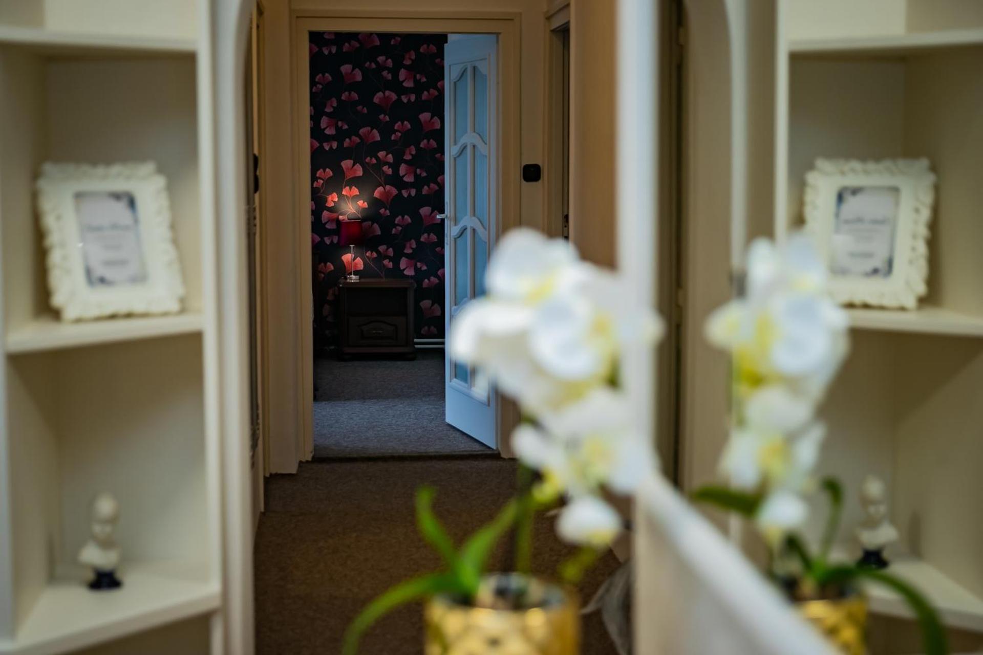 Center House - Otthon, csak máshol!