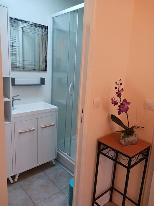 Centre ville-Rue commerçante