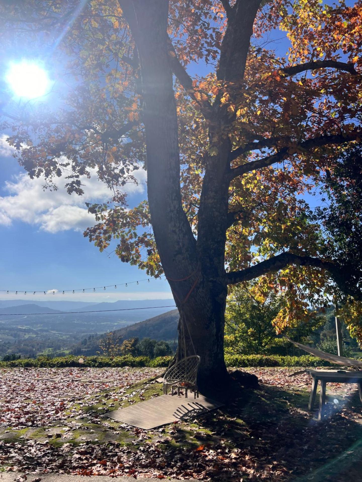 Quinta da Hortigueira - Country House