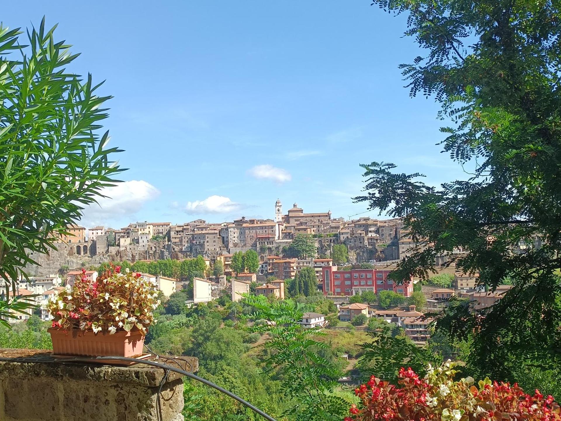 La Civetta - Casa vacanze Orte