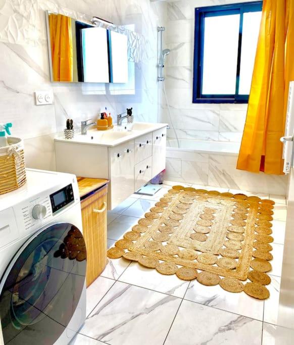 Toulouse vaste appartement très lumineux