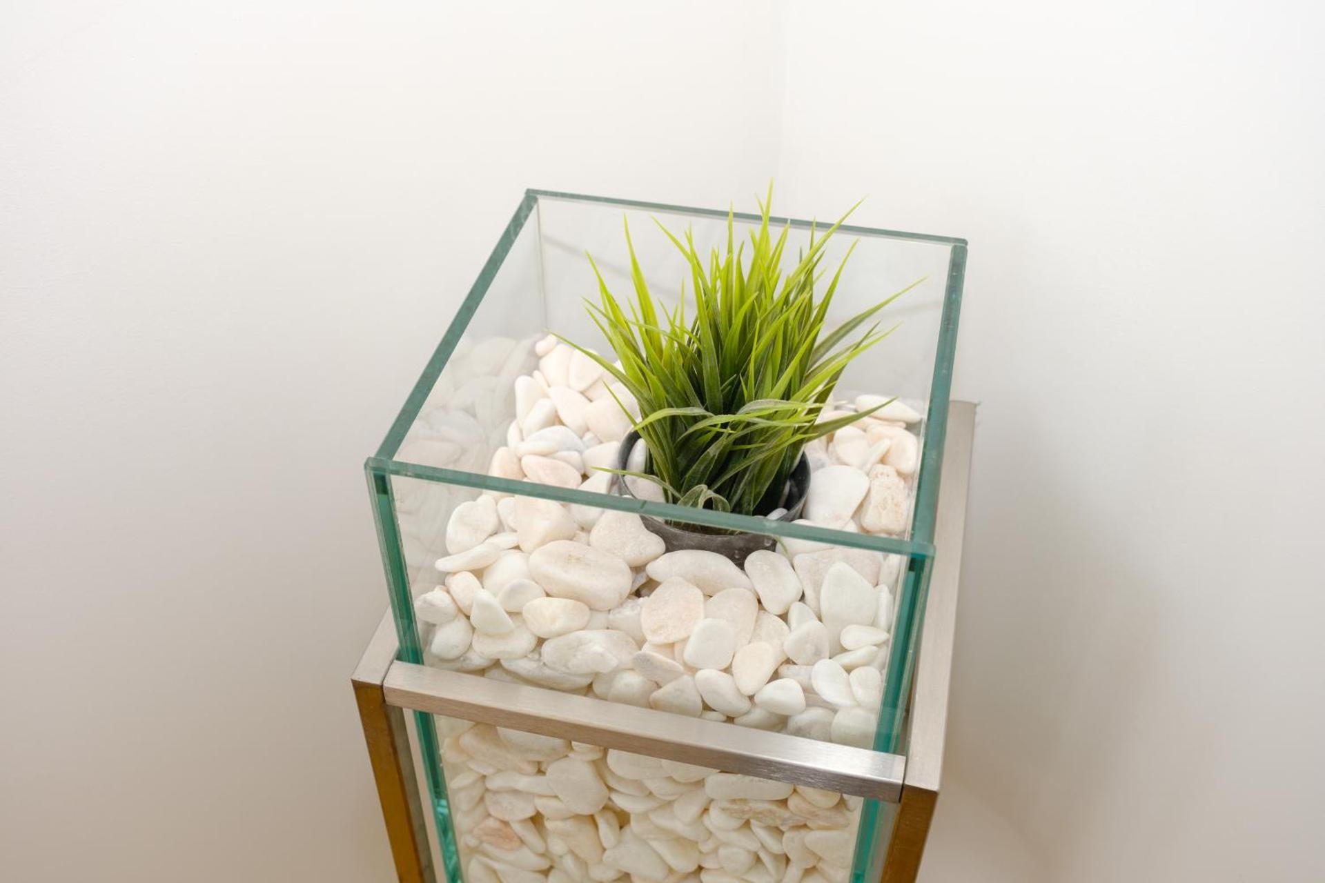 Casa Horizontes de Arouca