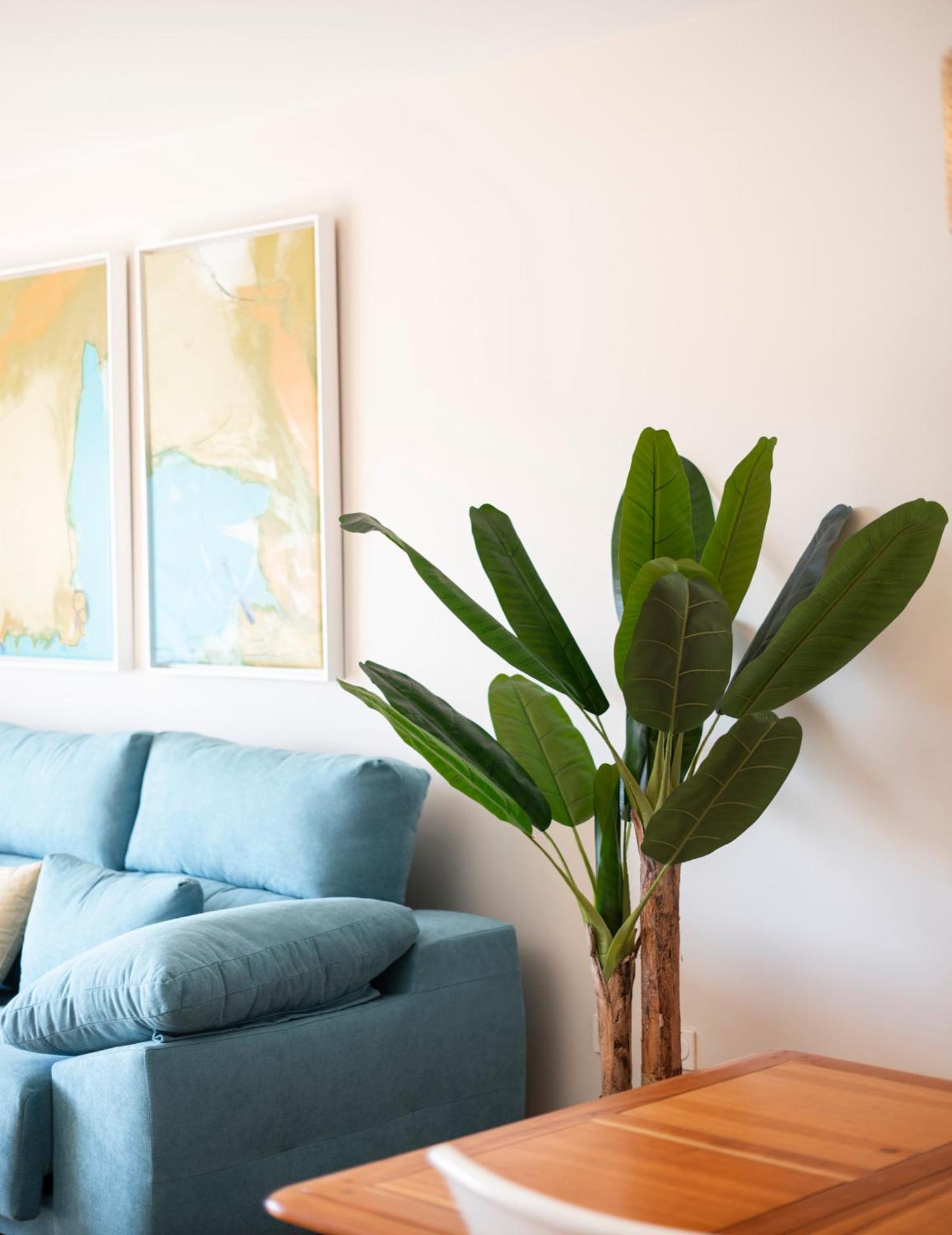 Emir Ático SOL Y NIEVE